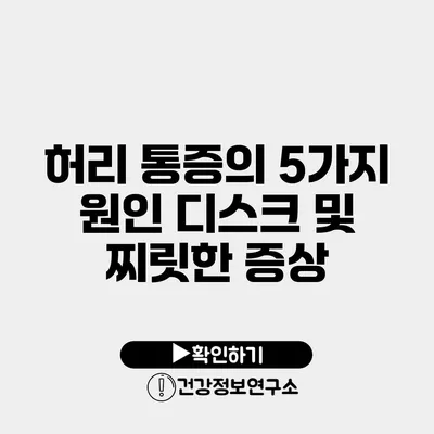 허리 통증의 5가지 원인 디스크 및 찌릿한 증상