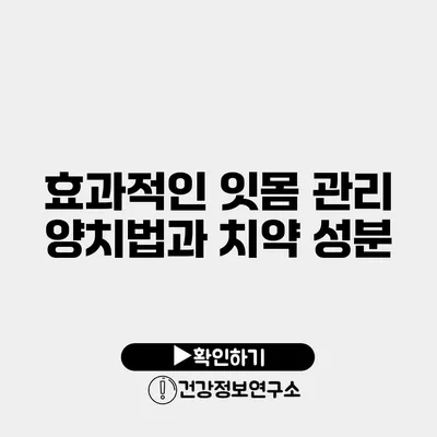 효과적인 잇몸 관리 양치법과 치약 성분