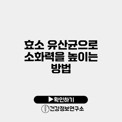 효소 유산균으로 소화력을 높이는 방법