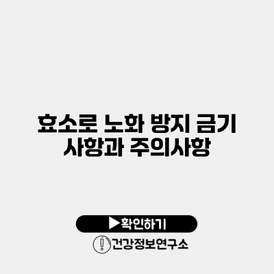 효소로 노화 방지 금기 사항과 주의사항