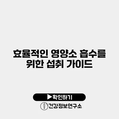 효율적인 영양소 흡수를 위한 섭취 가이드