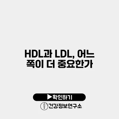 HDL과 LDL, 어느 쪽이 더 중요한가?