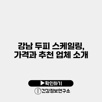 강남 두피 스케일링, 가격과 추천 업체 소개