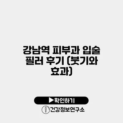 강남역 피부과 입술 필러 후기 (붓기와 효과)