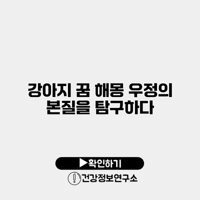 강아지 꿈 해몽 우정의 본질을 탐구하다