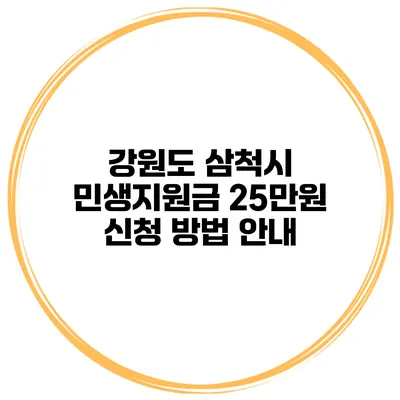 강원도 삼척시 민생지원금 25만원 신청 방법 안내