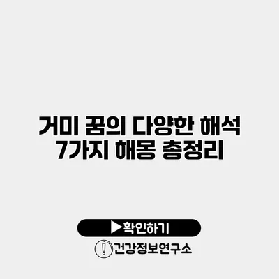 거미 꿈의 다양한 해석 7가지 해몽 총정리