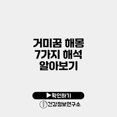 거미꿈 해몽 7가지 해석 알아보기