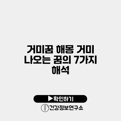 거미꿈 해몽 거미 나오는 꿈의 7가지 해석