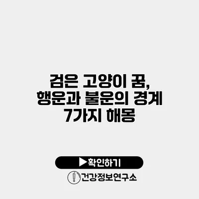 검은 고양이 꿈, 행운과 불운의 경계 7가지 해몽