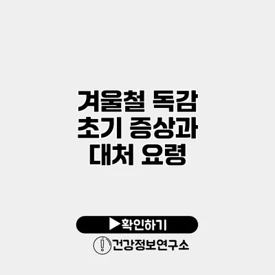 겨울철 독감 초기 증상과 대처 요령