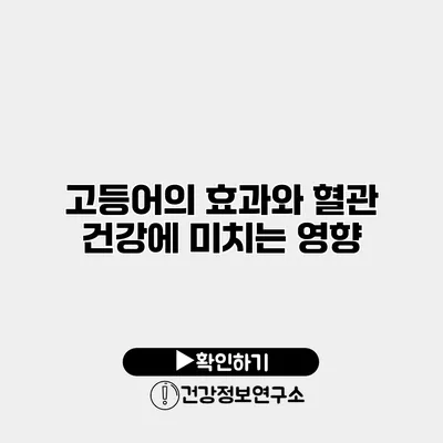 고등어의 효과와 혈관 건강에 미치는 영향