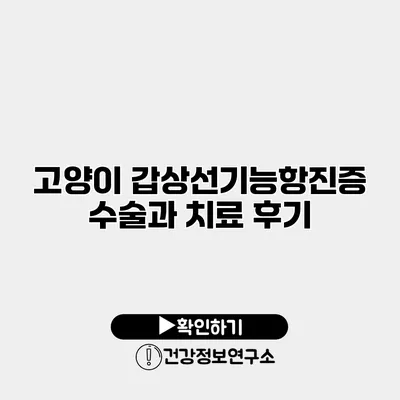 고양이 갑상선기능항진증 수술과 치료 후기