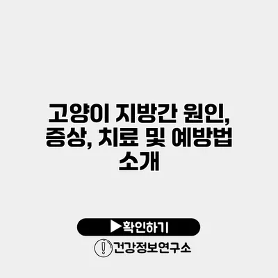 고양이 지방간 원인, 증상, 치료 및 예방법 소개