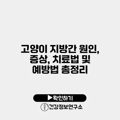 고양이 지방간 원인, 증상, 치료법 및 예방법 총정리