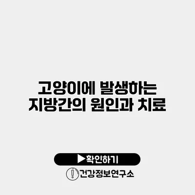 고양이에 발생하는 지방간의 원인과 치료