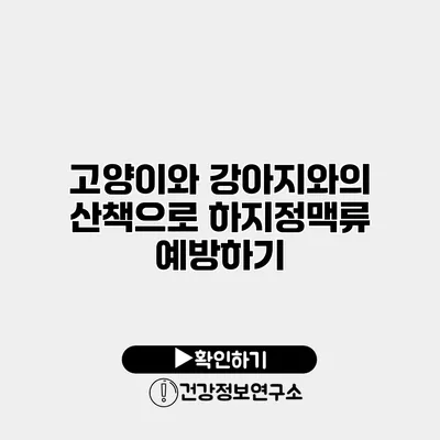 고양이와 강아지와의 산책으로 하지정맥류 예방하기
