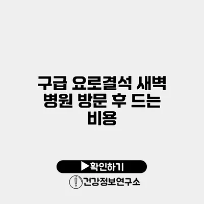 구급 요로결석 새벽 병원 방문 후 드는 비용