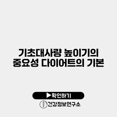 기초대사량 높이기의 중요성 다이어트의 기본