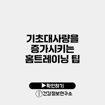 기초대사량을 증가시키는 홈트레이닝 팁