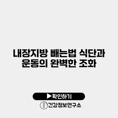 내장지방 빼는법 식단과 운동의 완벽한 조화