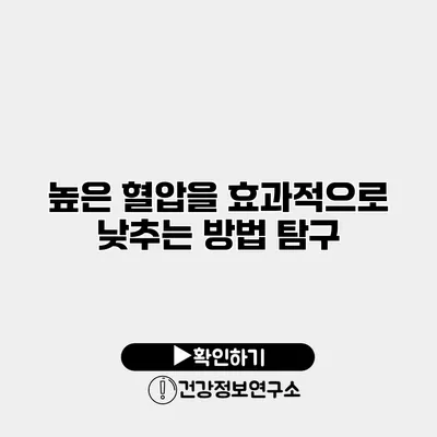 높은 혈압을 효과적으로 낮추는 방법 탐구