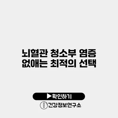 뇌혈관 청소부 염증 없애는 최적의 선택