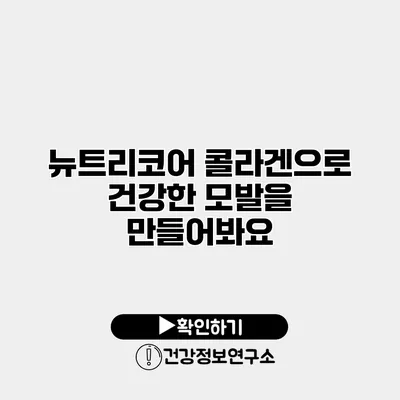 뉴트리코어 콜라겐으로 건강한 모발을 만들어봐요