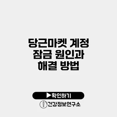 당근마켓 계정 잠금 원인과 해결 방법