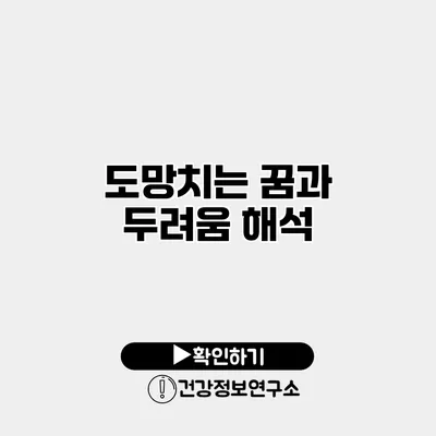 도망치는 꿈과 두려움 해석