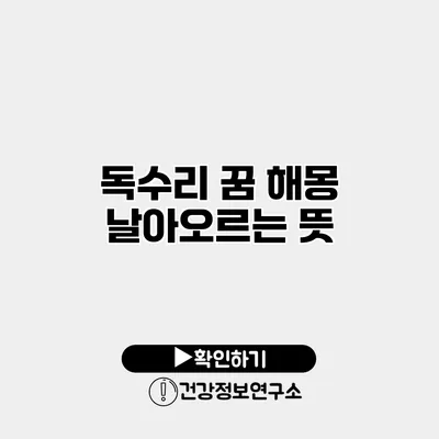 독수리 꿈 해몽 날아오르는 뜻