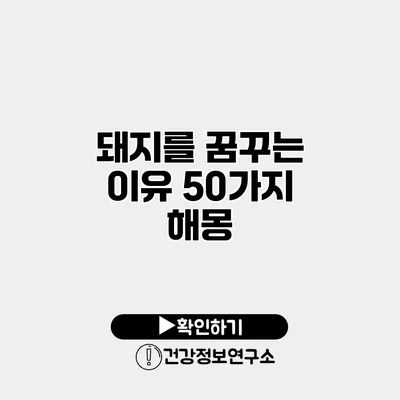 돼지를 꿈꾸는 이유 50가지 해몽