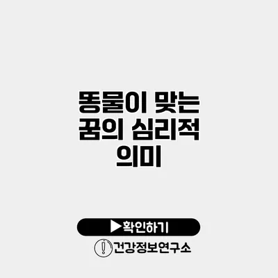 똥물이 맞는 꿈의 심리적 의미