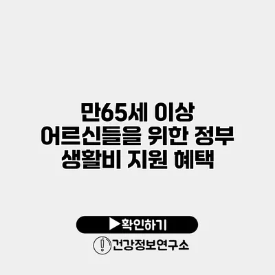 만65세 이상 어르신들을 위한 정부 생활비 지원 혜택