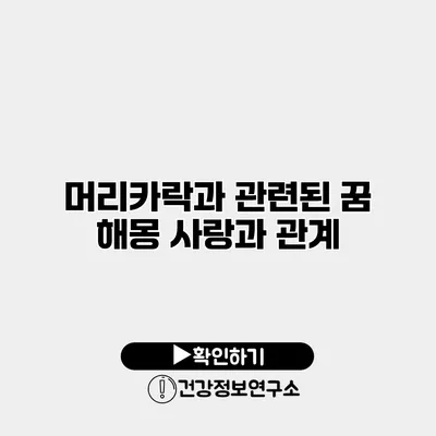 머리카락과 관련된 꿈 해몽 사랑과 관계
