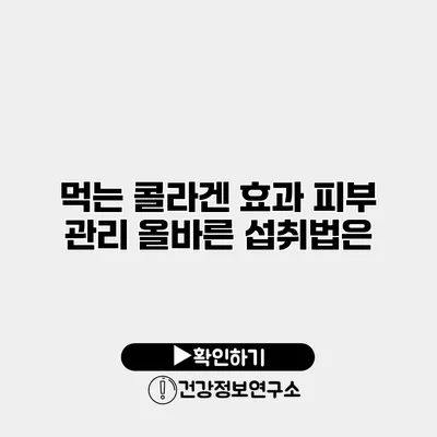 먹는 콜라겐 효과 피부 관리 올바른 섭취법은?