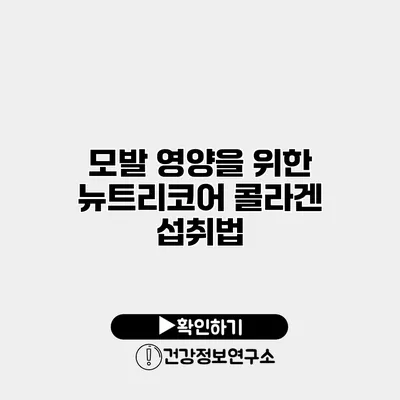 모발 영양을 위한 뉴트리코어 콜라겐 섭취법