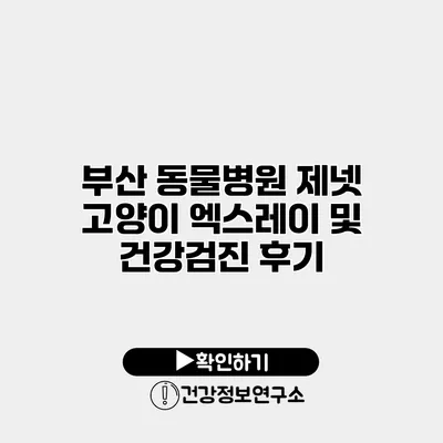 부산 동물병원 제넷 고양이 엑스레이 및 건강검진 후기