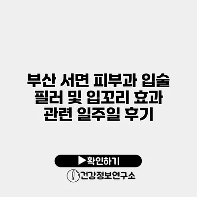 부산 서면 피부과 입술 필러 및 입꼬리 효과 관련 일주일 후기