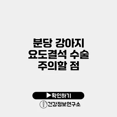 분당 강아지 요도결석 수술 주의할 점