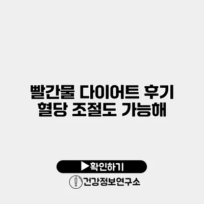 빨간물 다이어트 후기 혈당 조절도 가능해