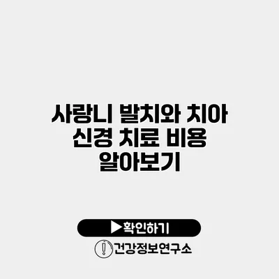 사랑니 발치와 치아 신경 치료 비용 알아보기