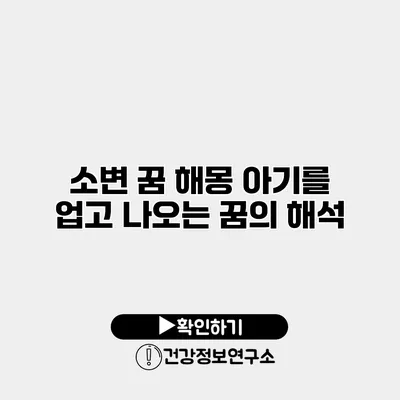 소변 꿈 해몽 아기를 업고 나오는 꿈의 해석