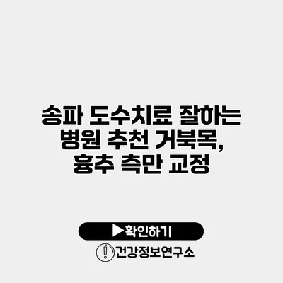 송파 도수치료 잘하는 병원 추천 거북목, 흉추 측만 교정
