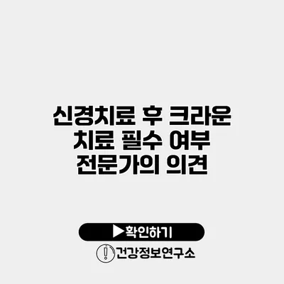 신경치료 후 크라운 치료 필수 여부 전문가의 의견