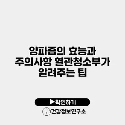양파즙의 효능과 주의사항 혈관청소부가 알려주는 팁