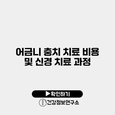 어금니 충치 치료 비용 및 신경 치료 과정