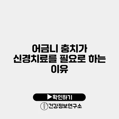 어금니 충치가 신경치료를 필요로 하는 이유