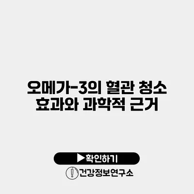 오메가-3의 혈관 청소 효과와 과학적 근거