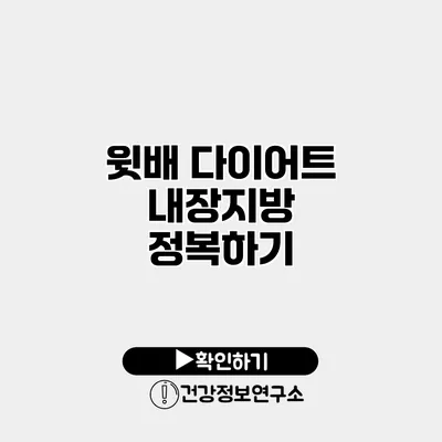 윗배 다이어트 내장지방 정복하기